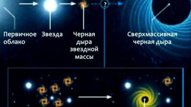 Photo of Великая Отечественная война